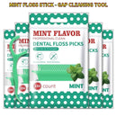 300 unidades de Fio Dental com suporte de sabor Hortelã para Adultos, Palitos de Fio Dental Ultra-Finos, Fio Dental Portátil para Casa e Viagem